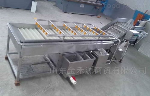 秋意正濃公司 引領產業革新，新型果蔬清洗風干流水線與先進汽輪機同步上市